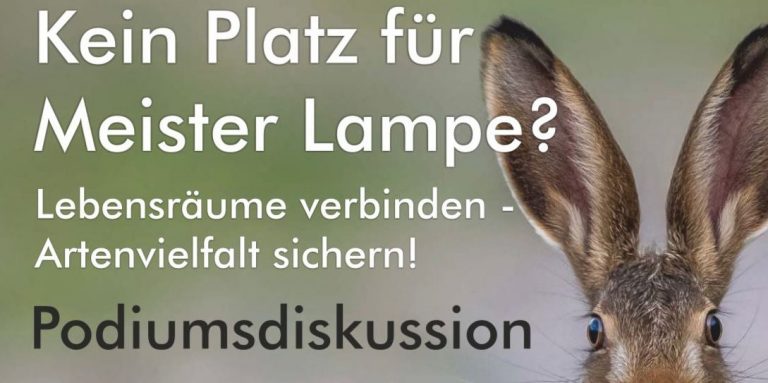 Kein Platz für Meister Lampe? Lebensräume verbinden – Artenvielfalt sichern!