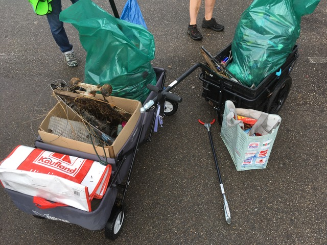 Putzete der Grünen: Viehweide