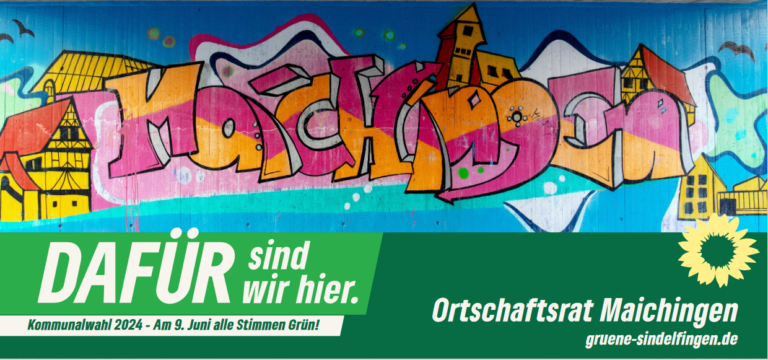 Wahlbroschüre Maichingen 2024