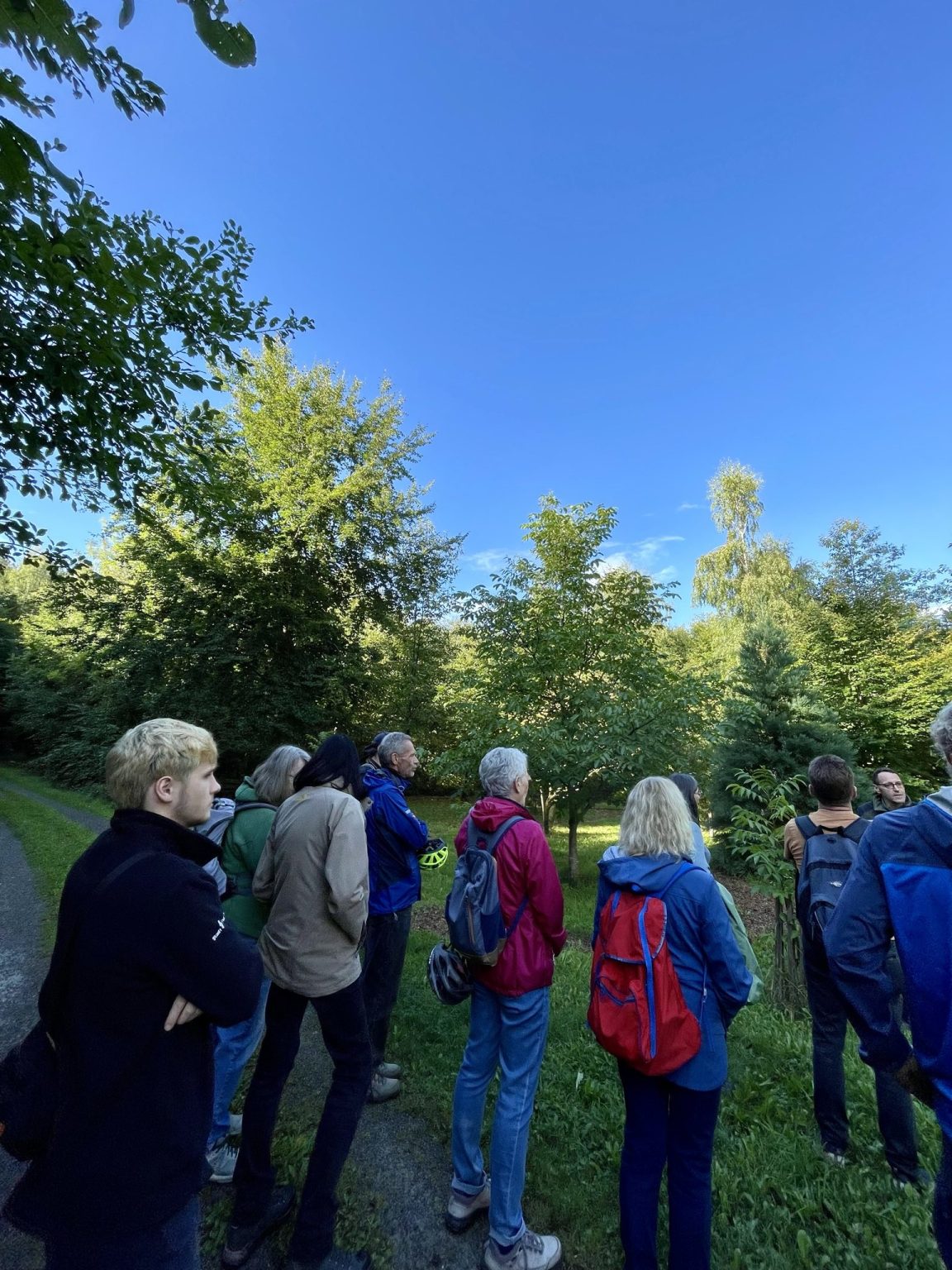 Waldspaziergang des Sindelfinger Ortsverein von Bündnis 90/Die Grünen