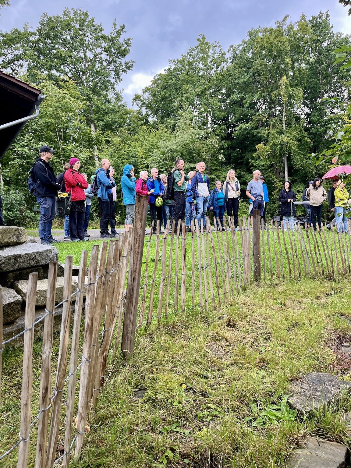 Waldspaziergang des Sindelfinger Ortsverein von Bündnis 90/Die Grünen