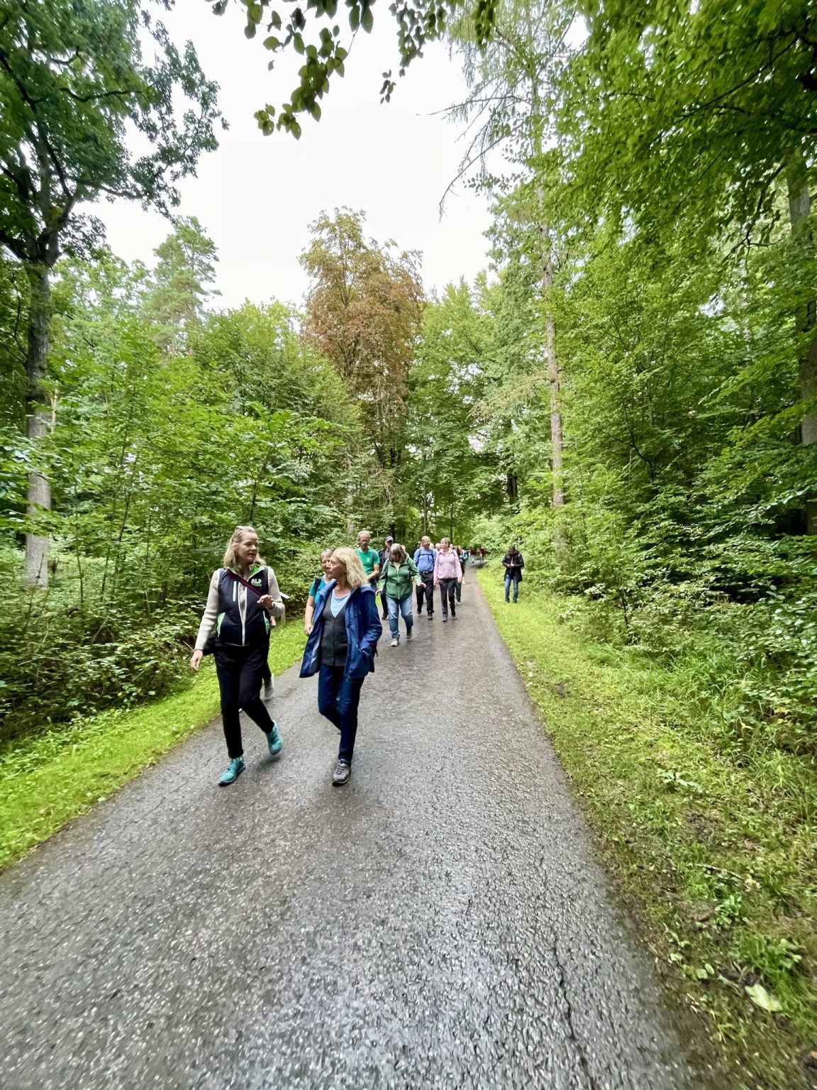 Waldspaziergang des Sindelfinger Ortsverein von Bündnis 90/Die Grünen