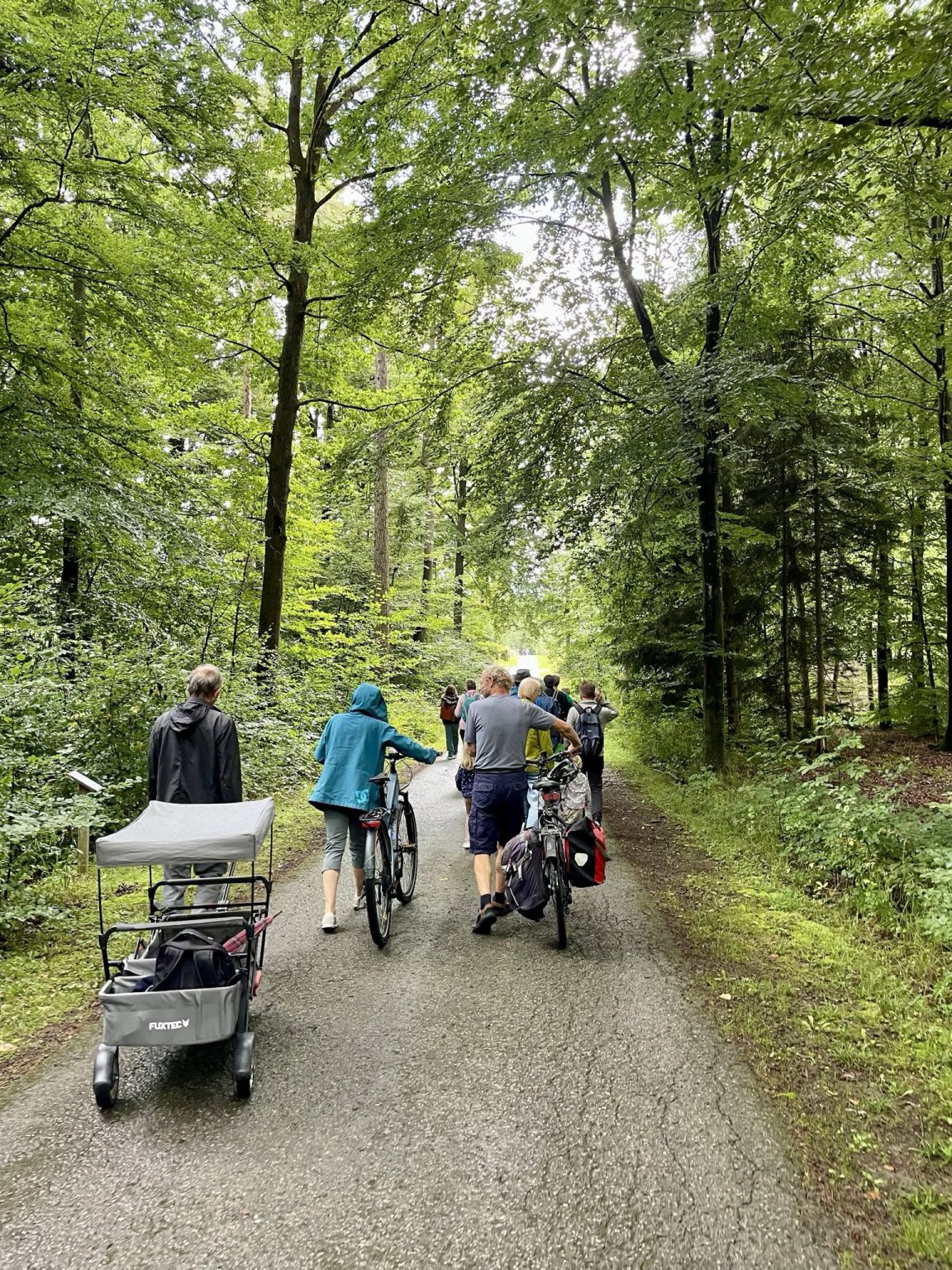 Grüne-OV-Sindelfingen_Waldspaziergang_4_7709