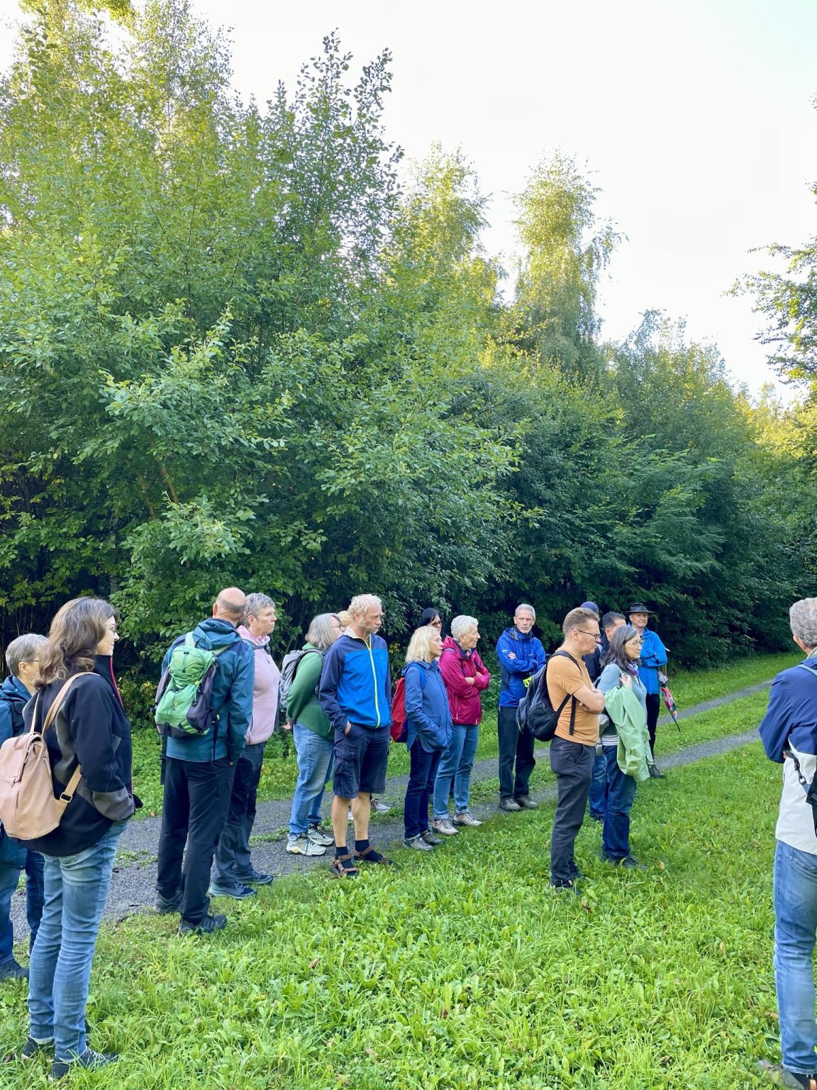 Waldspaziergang des Sindelfinger Ortsverein von Bündnis 90/Die Grünen