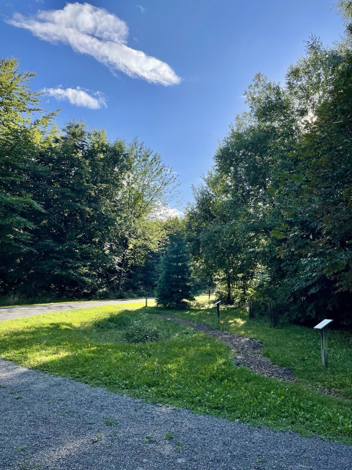 Waldspaziergang des Sindelfinger Ortsverein von Bündnis 90/Die Grünen